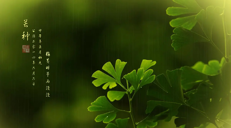 芒種時(shí)節(jié)！金環(huán)電器提醒大家的注意事項(xiàng)