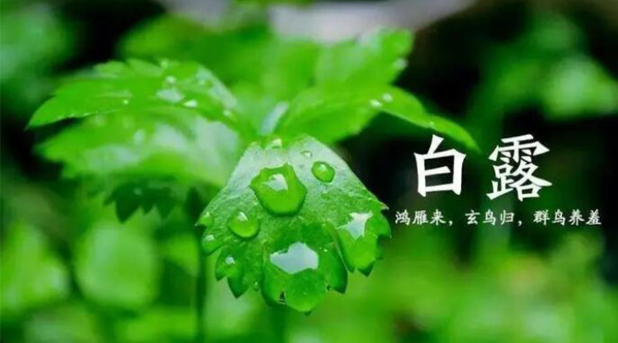 白露時(shí)節(jié)！金環(huán)電器提醒大家要注意的事項(xiàng)