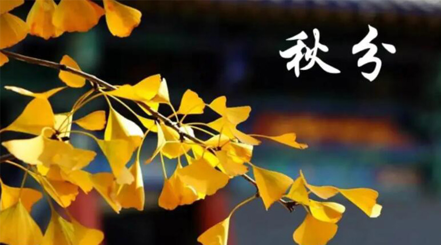 秋分時(shí)節(jié)！金環(huán)電器提醒大家要注意的事項(xiàng)